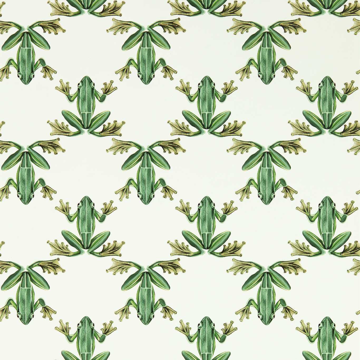 Harlequin Wood Frog Forest/Chalk Wallpaper Sample HC4W113011