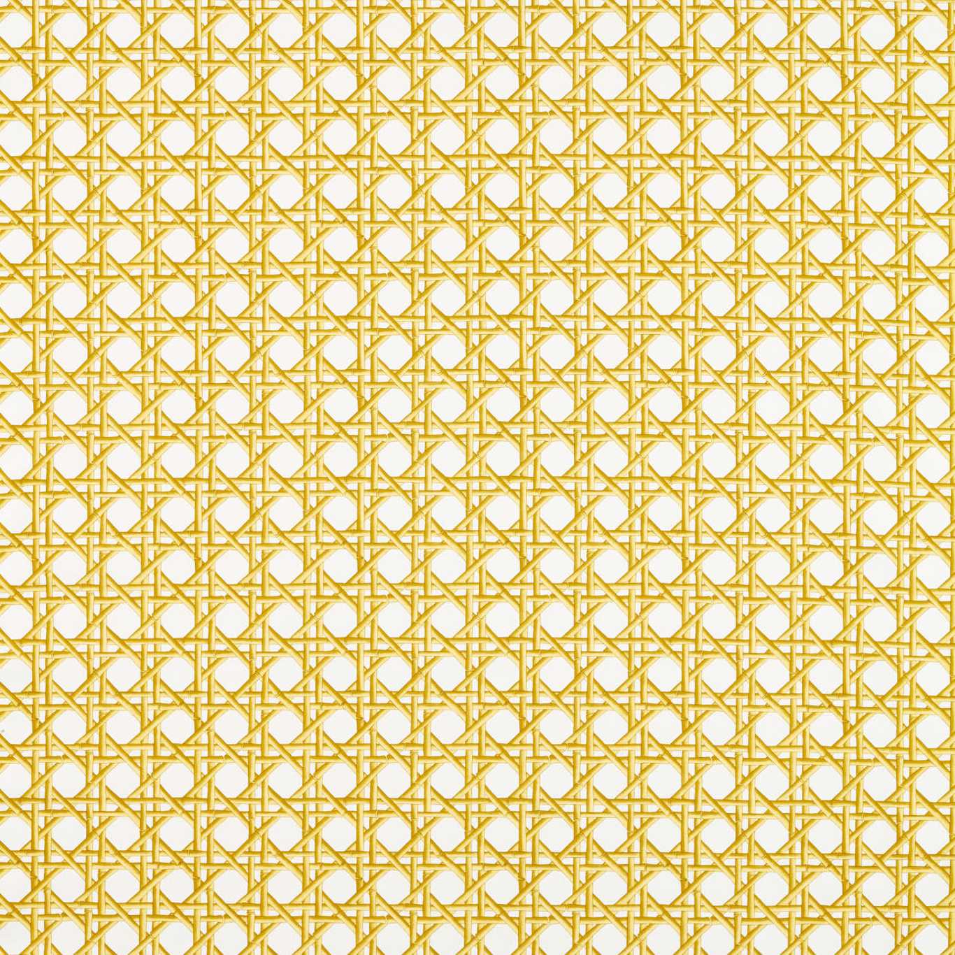 Harlequin Lovelace Honey/Paper Lantern Fabric Sample HDHP121106