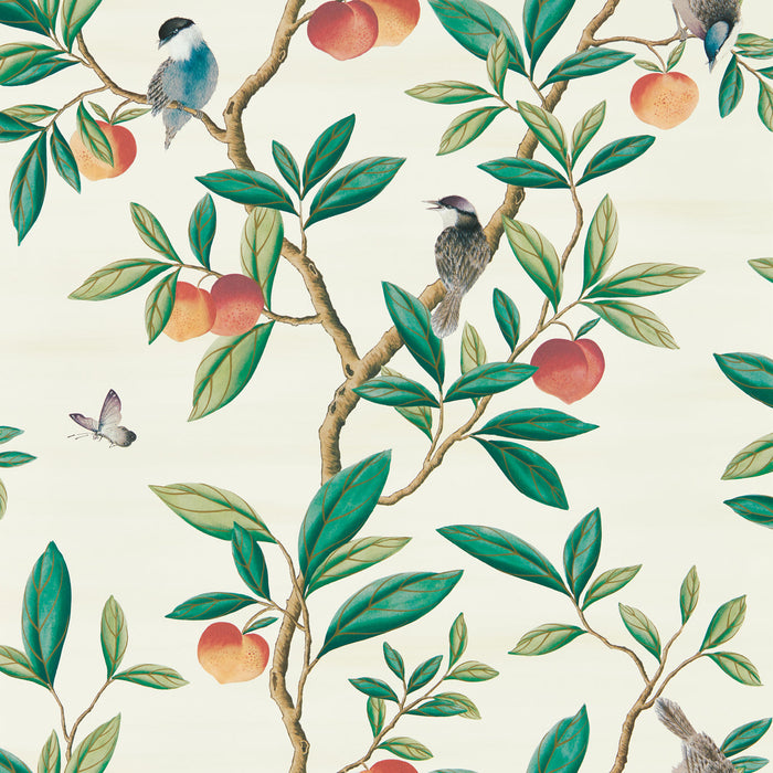 Harlequin Ella Fig Blossom/Fig Leaf/ Nectarine Wallpaper Sample HDHW112906