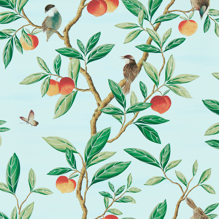 Harlequin Ella Sky/Fig Leaf/ Nectarine Wallpaper Sample HDHW112908