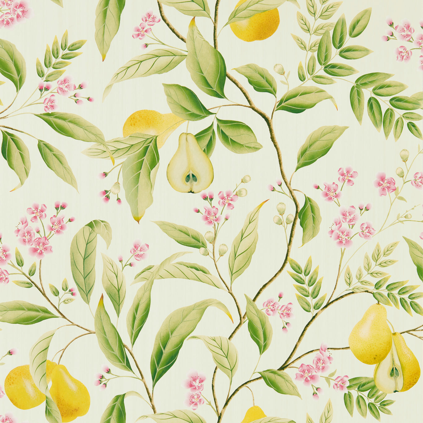Harlequin Marie Fig leaf/Honey/Blossom Wallpaper Sample HDHW112909