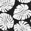 Seabrook Designs Monstera Leaf Shadow Wallpaper Sample HG10500