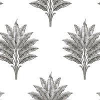 Seabrook Designs Sea Breeze Palm Charcoal Wallpaper HG10600