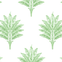 Seabrook Designs Sea Breeze Palm Greenery Wallpaper HG10604