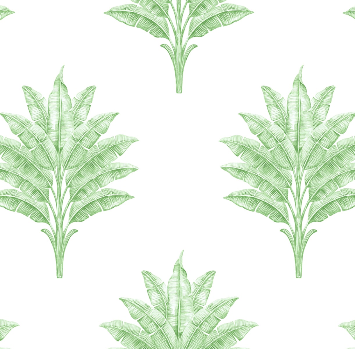 Seabrook Designs Sea Breeze Palm Greenery Wallpaper HG10604
