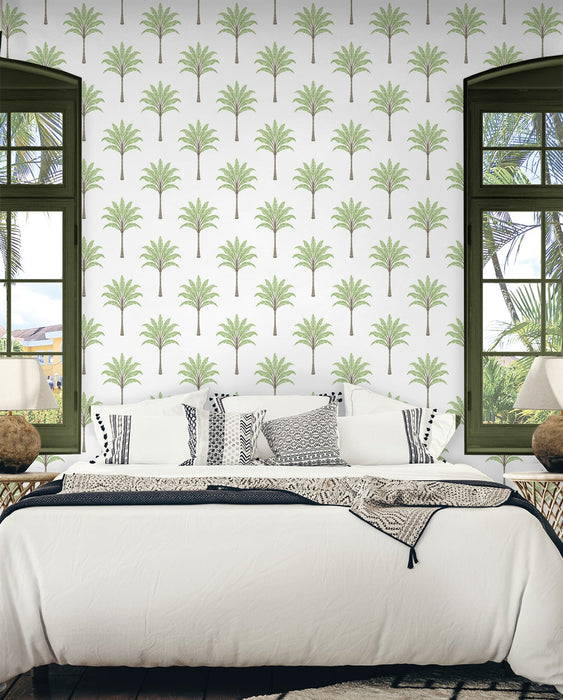 Seabrook Designs Montgomery Palm Green Tea Wallpaper Sample HG10704