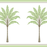 Seabrook Designs Montgomery Palm Border Green Tea Wallpaper HG10804B