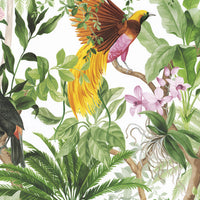 Seabrook Designs Tropical Bird White Wallpaper HG10900