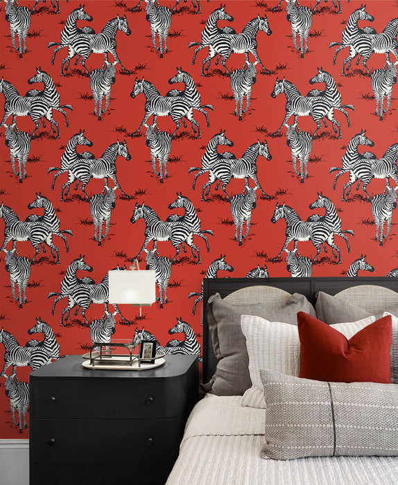 Seabrook Designs Playful Zebras Red Wallpaper Sample HG11101