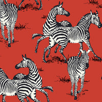 Seabrook Designs Playful Zebras Red Wallpaper HG11101