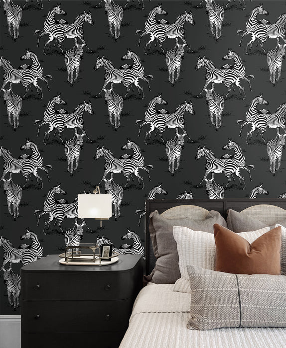 Seabrook Designs Playful Zebras Charcoal Wallpaper Sample HG11120