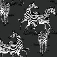 Seabrook Designs Playful Zebras Charcoal Wallpaper HG11120