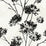 Seabrook Designs Dandelion Floral Ebony Wallpaper Sample HG12100