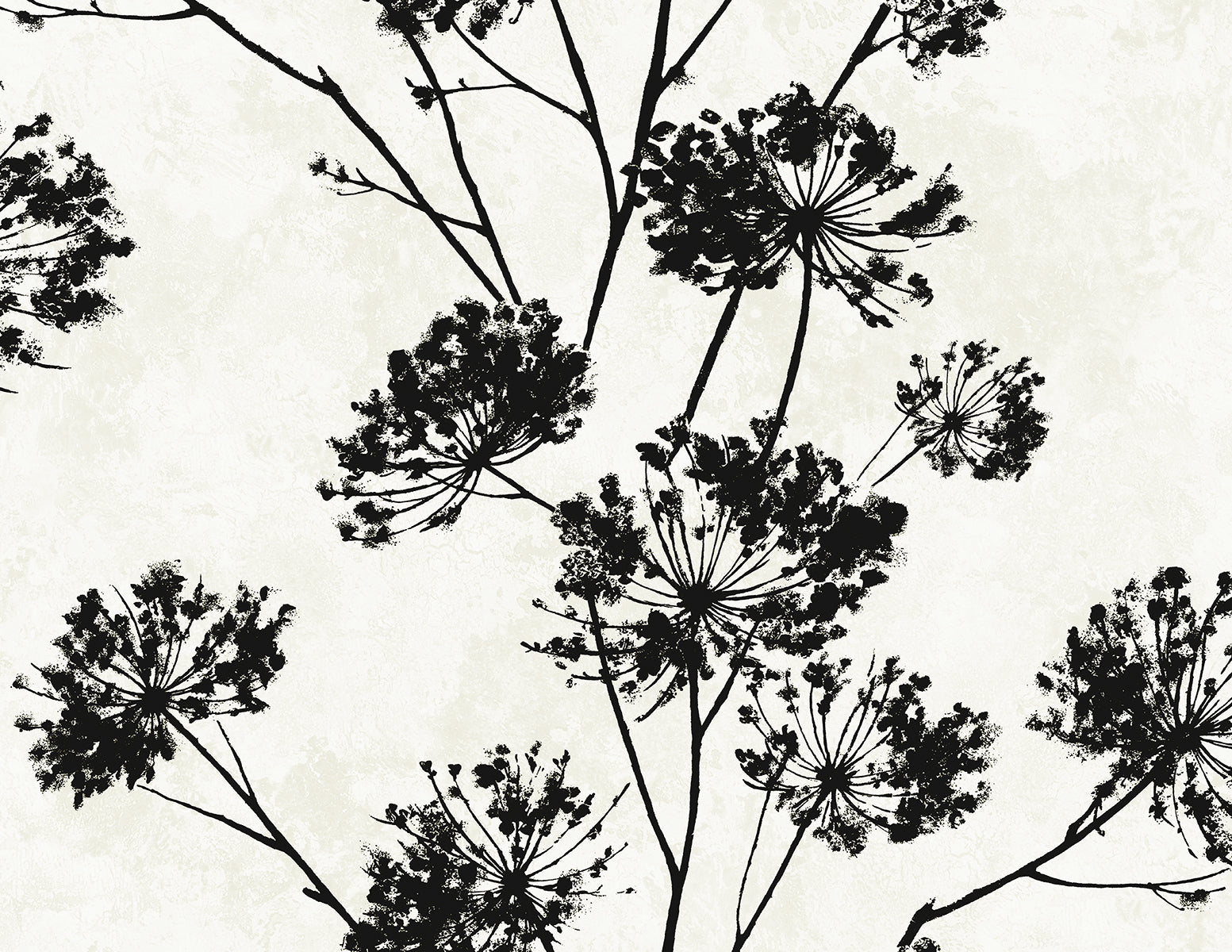 Seabrook Designs Dandelion Floral Ebony Wallpaper HG12100