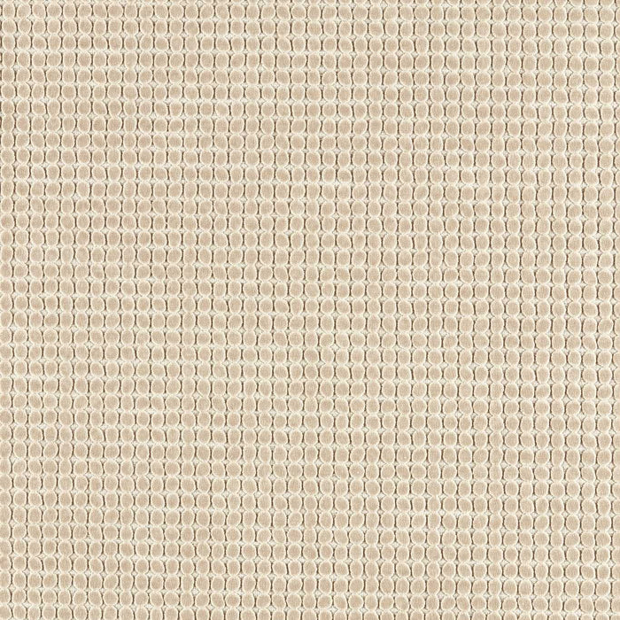 Harlequin Loopy Spot Oatmeal Fabric Sample HHHU134204