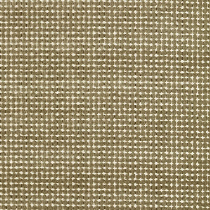 Harlequin Loopy Spot Moss Fabric Sample HHHU134206