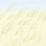 Harlequin Miscanthus Buttermilk/Sky Wallpaper HKAW113230