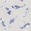 Harlequin Koi Indigo Wallpaper Sample HMOW110902