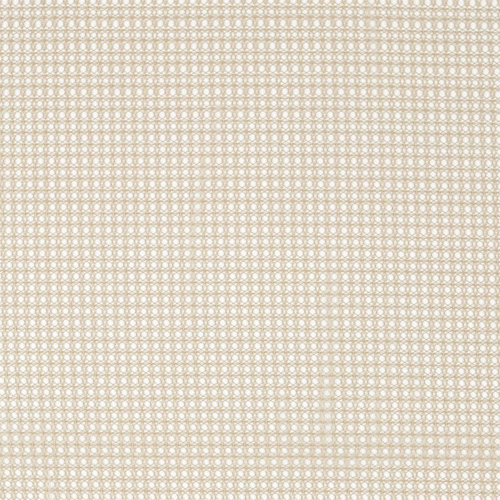 Harlequin Lacet Raffia Fabric Sample HMVO132801