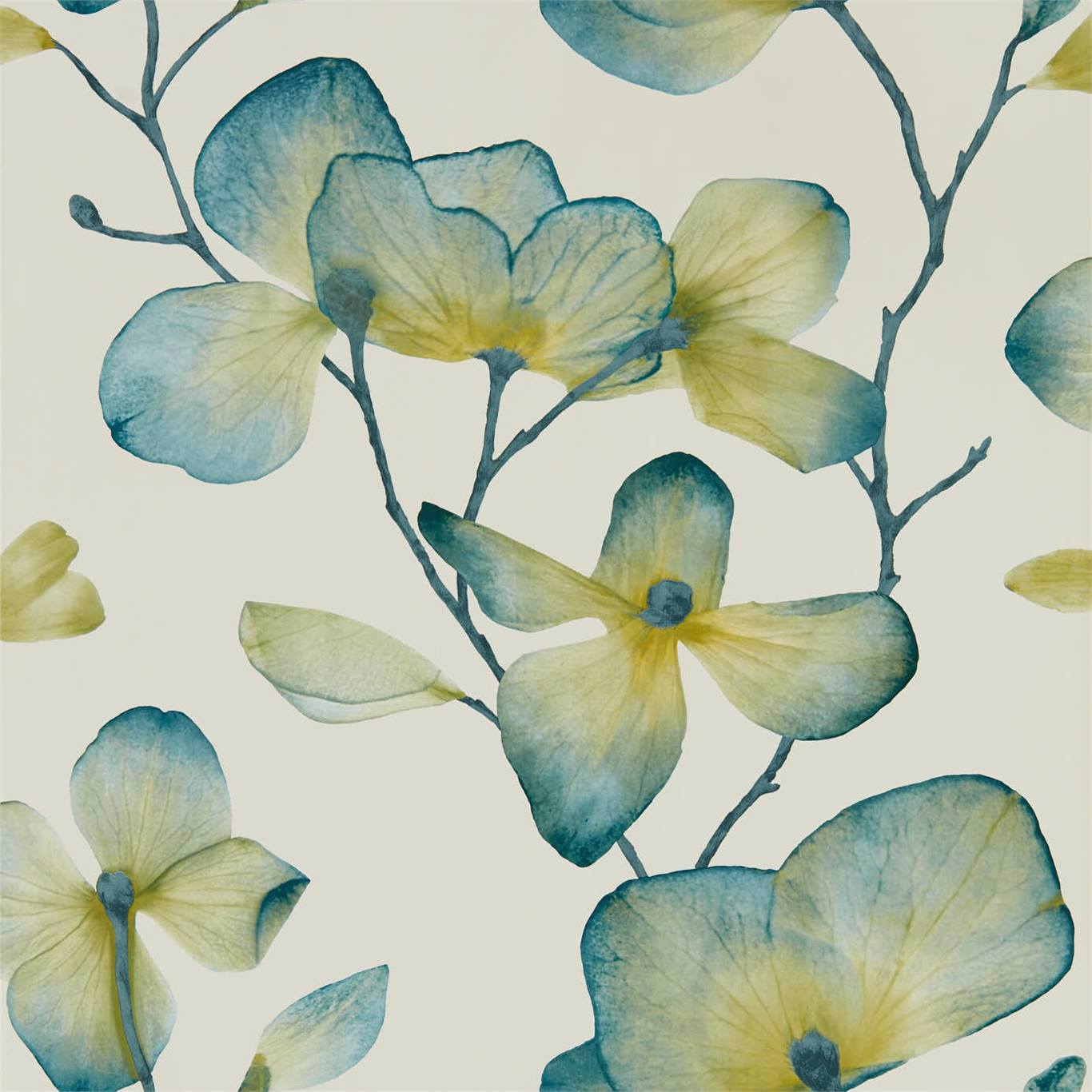 Harlequin Kienze Marine/Zest Wallpaper Sample HMWF111957