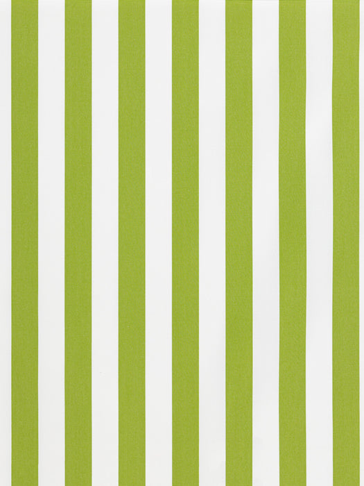Hinson Oceana Stripe Lime Fabric HN273590002