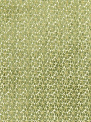 Hinson Petal Velvet Leaf Fabric Sample HN273320006
