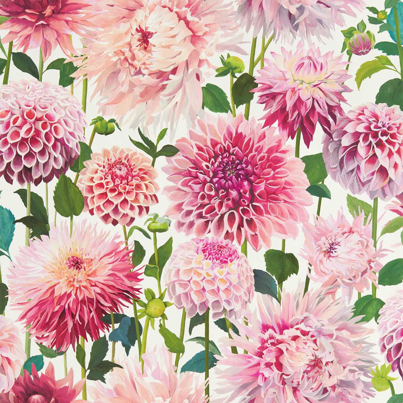 Harlequin Dahlia Blossom/Emerald/New Beginnings Wallpaper Sample HQN2112843