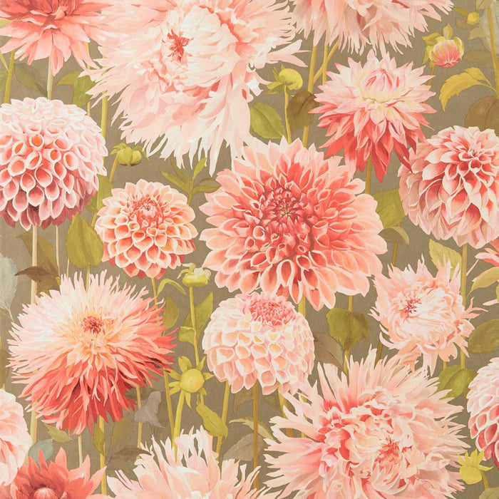Harlequin Dahlia Coral/Fig Leaf/Gilver Wallpaper Sample HQN2112845