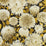 Harlequin Dahlia Fig Blossom/Nectar/Black Earth Wallpaper Sample HQN2112846