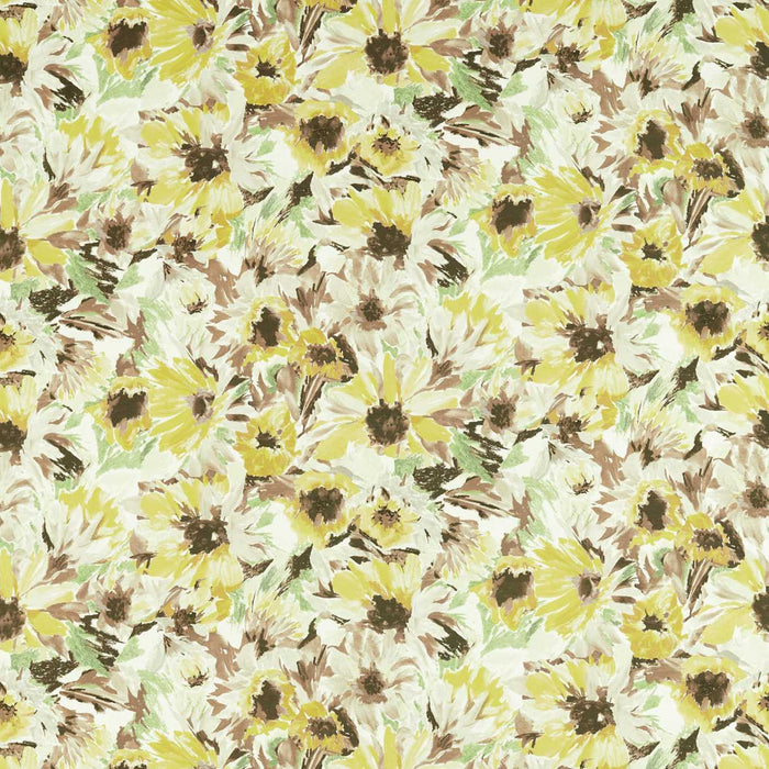 Harlequin Helianthus Sunflower/Grass/Awakening Fabric Sample HQN2121073