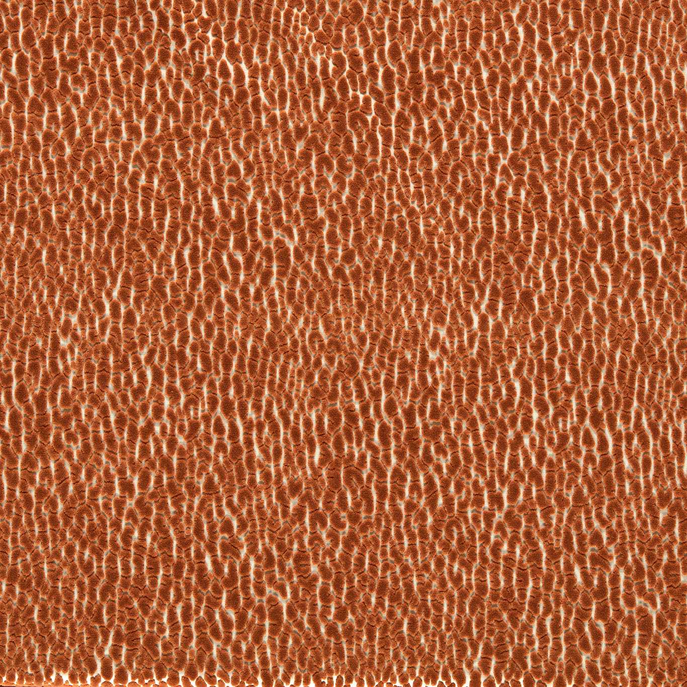 Harlequin Lacuna Tiger Fabric Sample HRFV134034
