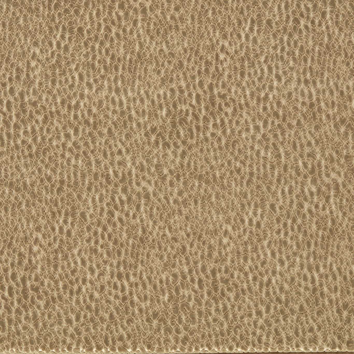 Harlequin Lacuna Taupe Fabric Sample HRFV134035