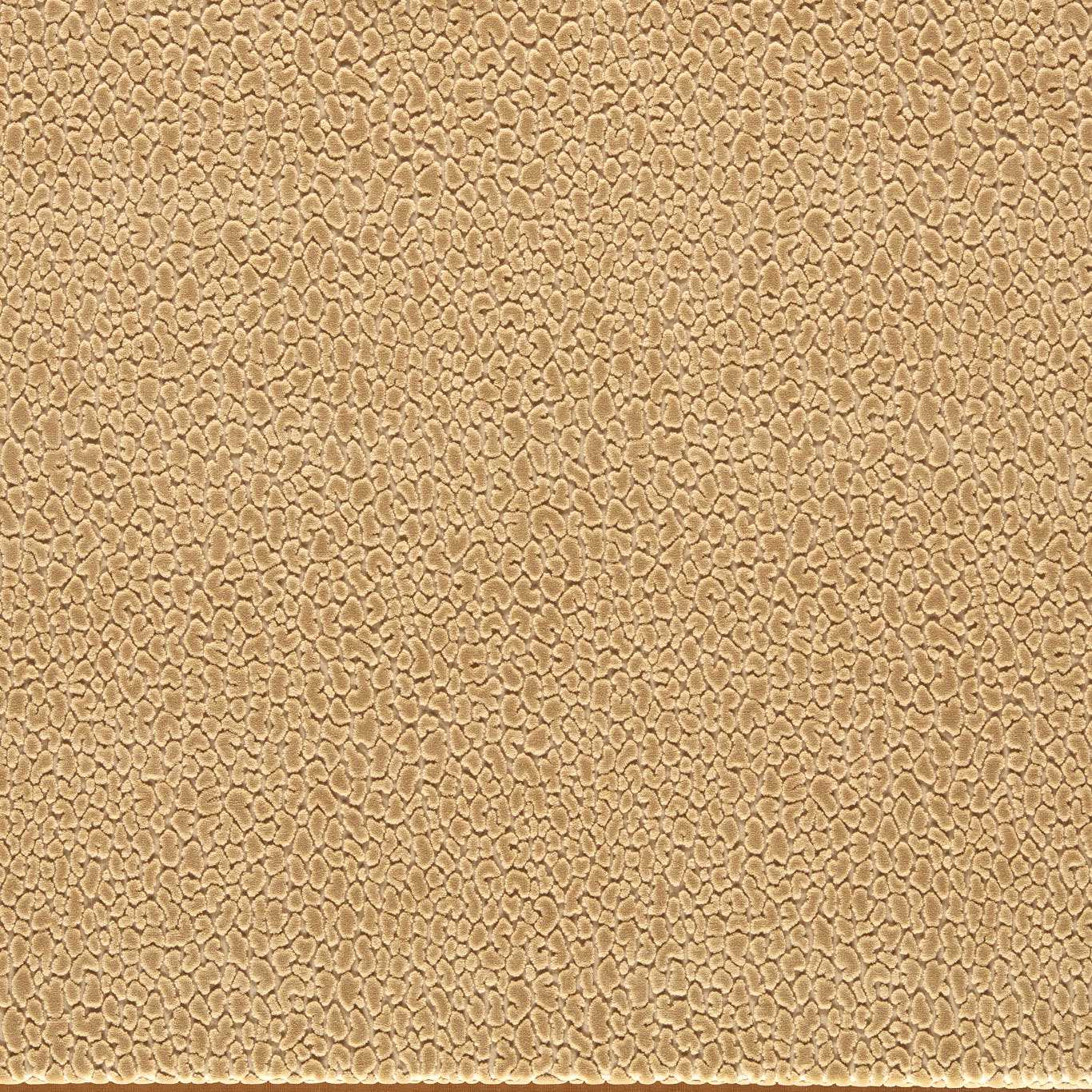 Harlequin Lacuna Sand Fabric Sample HRFV134036