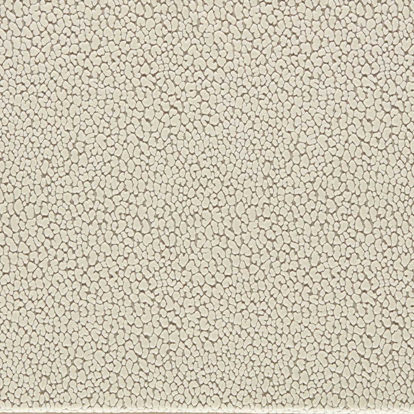 Harlequin Lacuna Chalk Fabric Sample HRFV134037