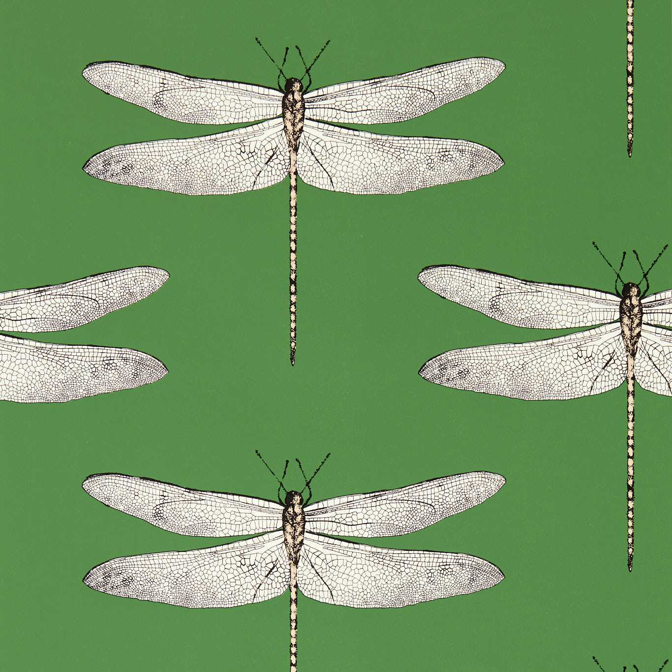Harlequin Demoiselle Kelly/First Light/Blush Wallpaper HRTW113143