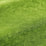 Pierre Frey Murano Sinople Fabric F3793014