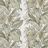 Pierre Frey Nassau Agave Wallpaper FP102001