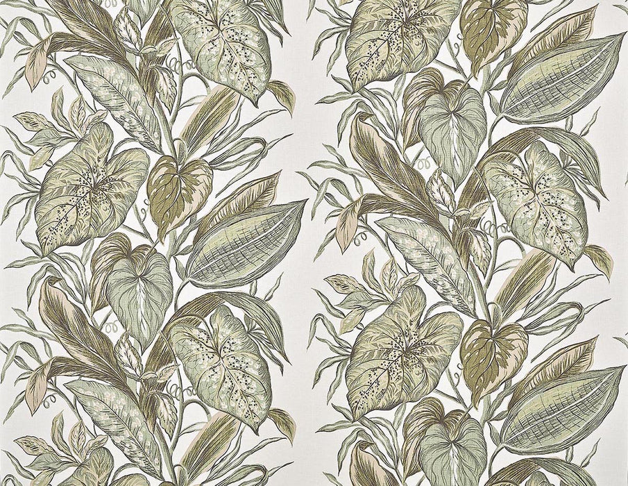 Pierre Frey Nassau Agave Wallpaper Sample FP102001