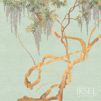 Iksel Edo Wisteria Celery Wallpaper IK2602