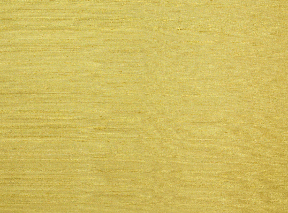 Braquenie Shiva Jaune Wallpaper Sample BP334012