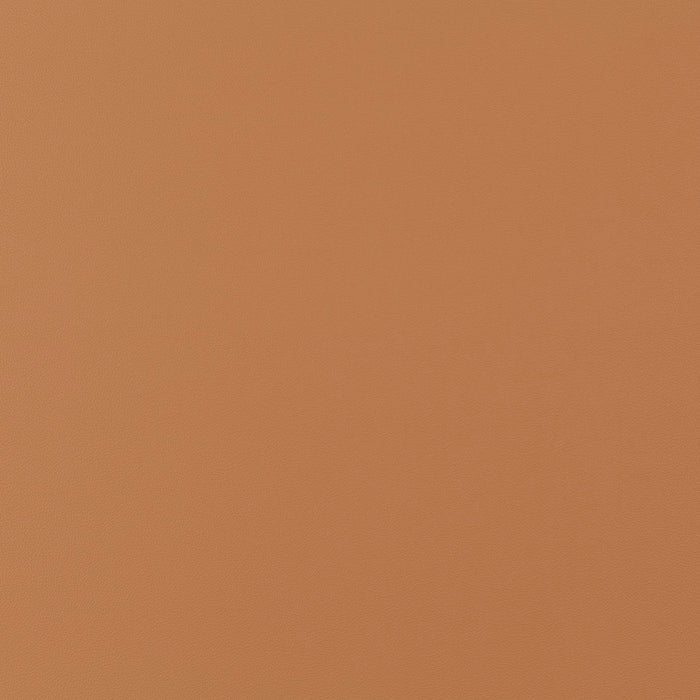 Jab Anstoetz Gauchito 023 Fabric JA1050-023