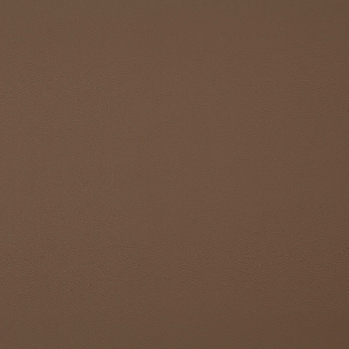 Jab Anstoetz Gauchito 025 Fabric Sample JA1050-025