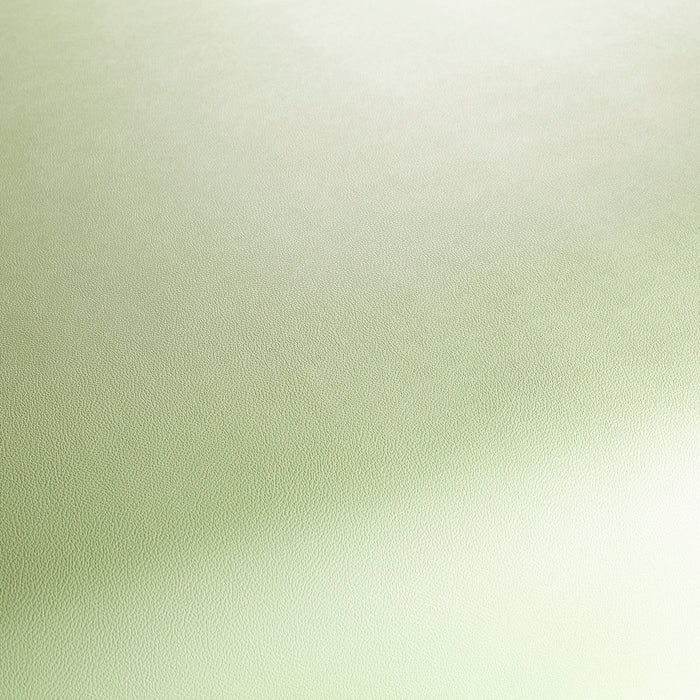 Jab Anstoetz Gauchito 030 Fabric JA1050-030