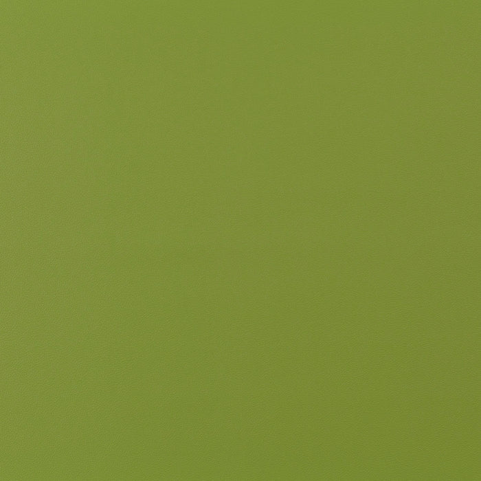 Jab Anstoetz Gauchito 033 Fabric JA1050-033