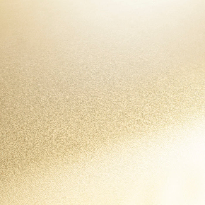 Jab Anstoetz Gauchito 040 Fabric JA1050-040
