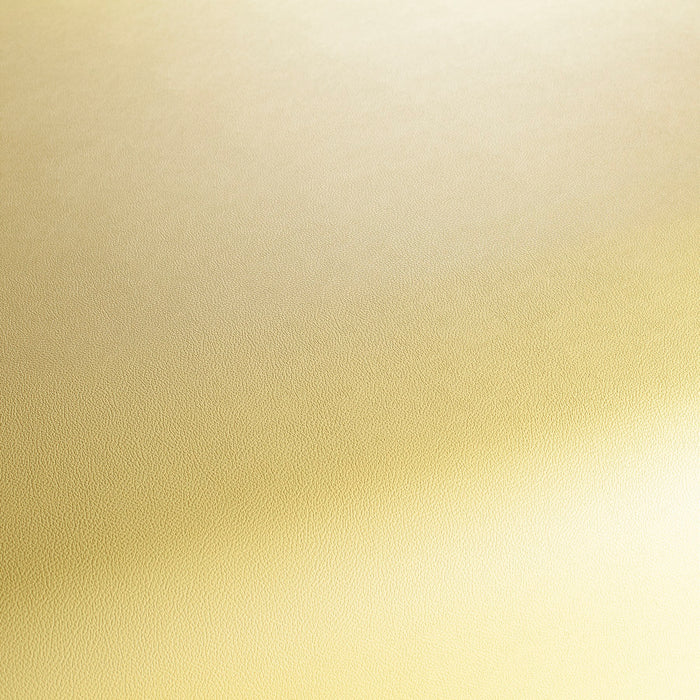 Jab Anstoetz Gauchito 041 Fabric JA1050-041
