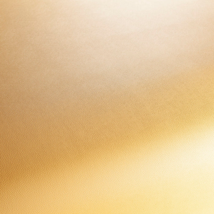 Jab Anstoetz Gauchito 060 Fabric Sample JA1050-060