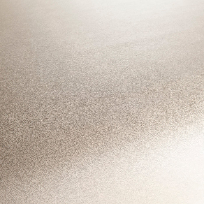 Jab Anstoetz Gauchito 071 Fabric JA1050-071