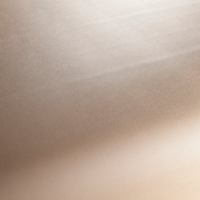Jab Anstoetz Gauchito 074 Fabric JA1050-074