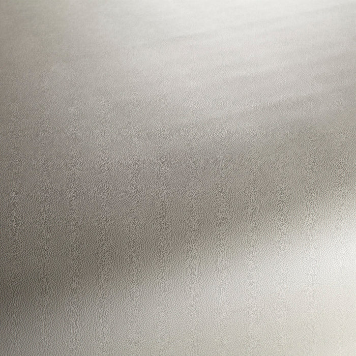 Jab Anstoetz Gauchito 094 Fabric JA1050-094